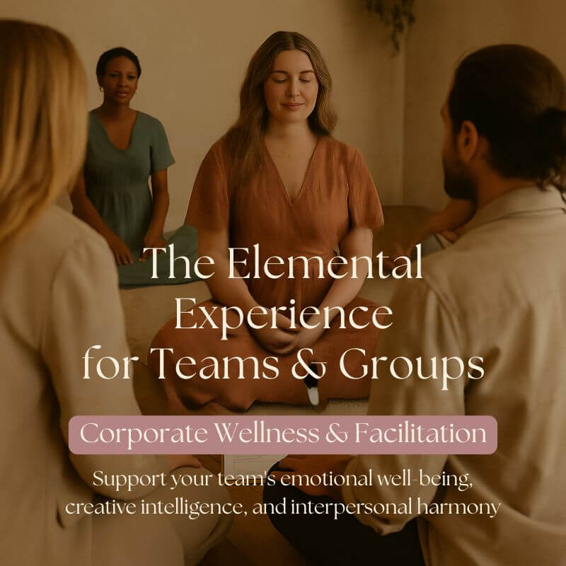 The Elemental Experience for Teams & Groups